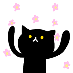 My Dear Black cat 2