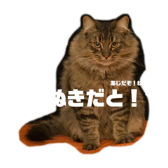 hana_20220319081756