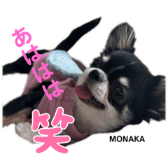 Chihuahuano MONAKA happy stamp