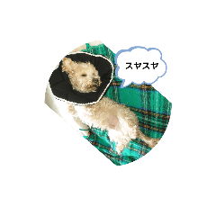 chan_20220318171545