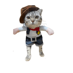 jaobekiew