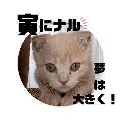hana_20220319102342