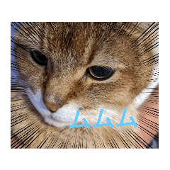 JUNKO_20220319105301