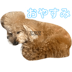 kaori_20220318205846