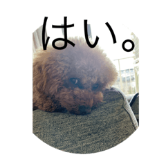 Saori_20220319101525