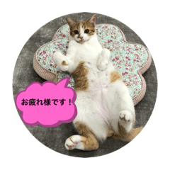 Hana_20220317231457