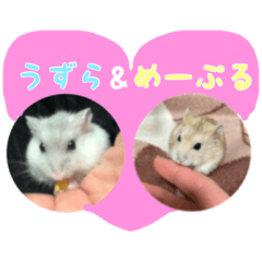 yuka_20220318183212