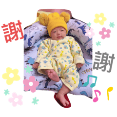 鵬鵬～小可愛來嘍❤️
