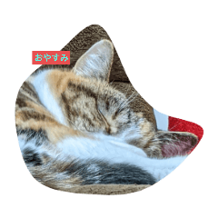 TORANOSUKE_20220318220235