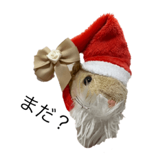 Mizuki_20220319033541