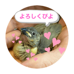 Ayumi_20220319112655