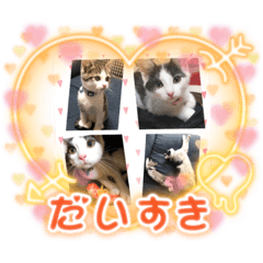 nanami_20220318230439