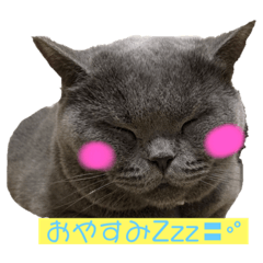 tomoyo_20220318231358
