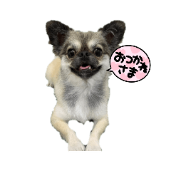 kosuke_20220319000608