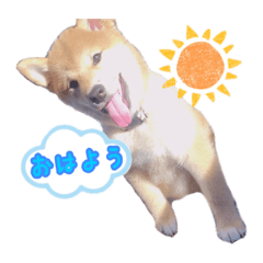 miki_20220319002123