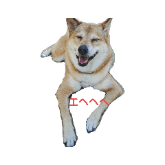 Kuu_20220318200020