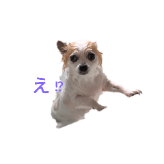 mokumoku1234_20220318204950