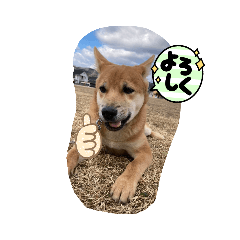 HIMAWARI_20220319125538