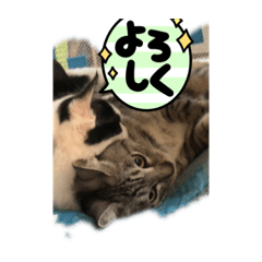 Riho_20220319130532