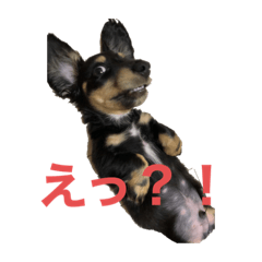 amagata_20220319132012 – LINE stickers | LINE STORE