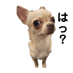 marinana_20220319155629