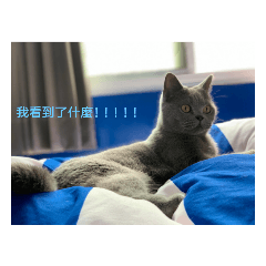 寶寶的生活日常語錄