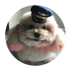 波波貼圖真好玩