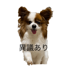 hikari_20220319141140