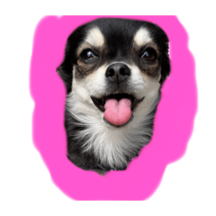 yukari_20220319172701