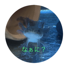 rk_20220319173204