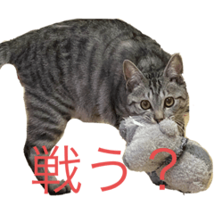 Kazuki_20220319154234