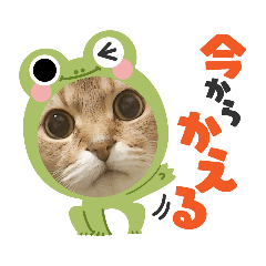 JUNKO_20220319174147