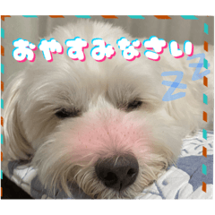 Hana_20220319162607