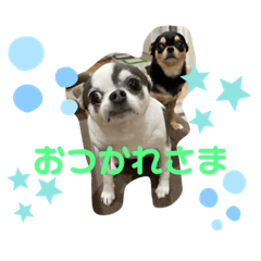 Akari_20220319192901