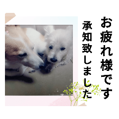 tomomi_20220319205555