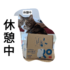 TORANOSUKE_20220319211048