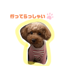 YUKARI_20220319231220