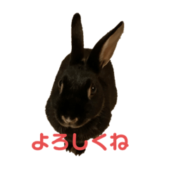 onpupupu_20220319154628