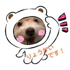 shiho_20220320101901