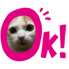 hiyori_20220319182929