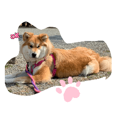 Hana_20220319204223