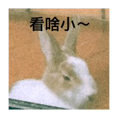 小怪獸崛起