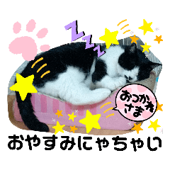 我が家の愉快なAnimalたちスタンプ