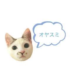 hana_20200512