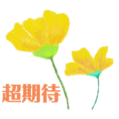 花花朋友