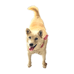omayu_20220320002508