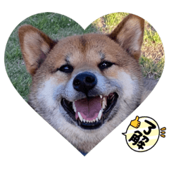 ayumi_20220320005433