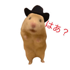 Olivia_20220320053737