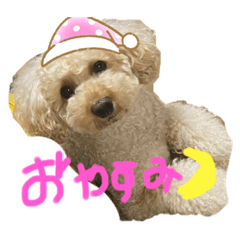 aoi_20220319223033