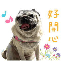 可魯泡泡&外星狗咪咪的動物園2